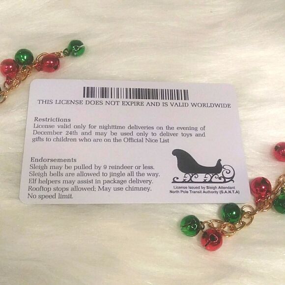 New SANTA CLAUS SLEIGH DRIVERS LICENSE novelty kids stocking stuffer - Picture 2 of 4